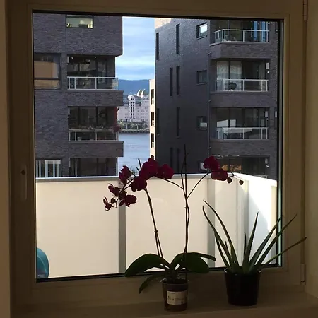 Great Sea View And Location, In The Area Of Oslo